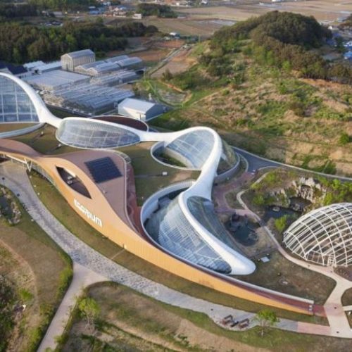 Especies protegidas en Corea