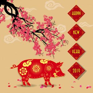 Año nuevo lunar: el año del cerdo